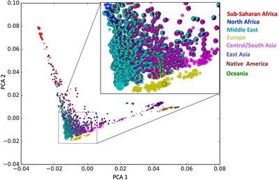 Genetic Diversity and Low Stratification of the Population of the United Arab Emirates